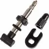 Dt-swiss Tubelessventil Für MTB Tubelesskit