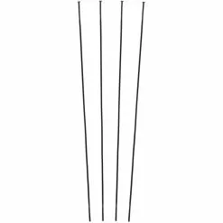 Campagnolo® Zonda C17 Ersatzspeichen Ab Modell 2016