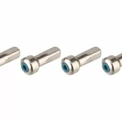 Campagnolo® Zonda C17 Ersatzspeichen Ab Modell 2016 9 Campagnolo® Zonda C17 Ersatzspeichen Ab Modell 2016 -Jagdraht Verkaufsladen 215757