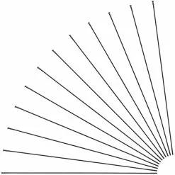 Mavic Crossmax / XA Light 29" Ersatzspeichen Ab Modell 2018
