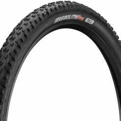 Kenda Regolith Pro TR 29" Faltreifen