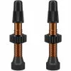 Wtb TCS Aluminium Presta Tubelessventil