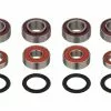 Santa Cruz Bearing Kit Für Blur -Jagdraht Verkaufsladen 330633