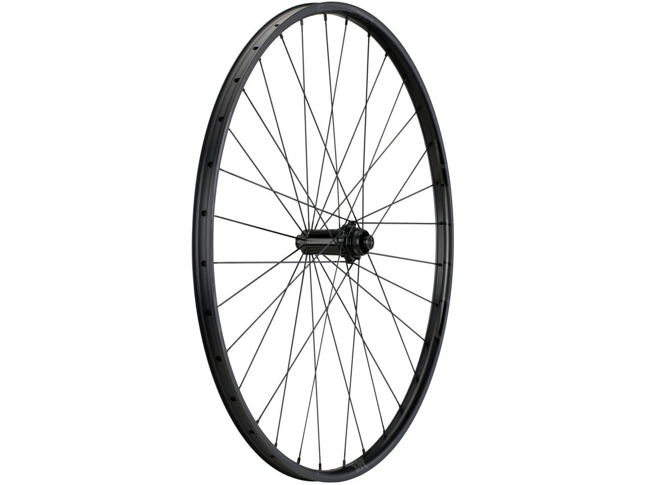 Tune Race 23 Endurance Boost Disc Center Lock 29" Laufradsatz 4 Tune Race 23 Endurance Boost Disc Center Lock 29" Laufradsatz – Bild 2