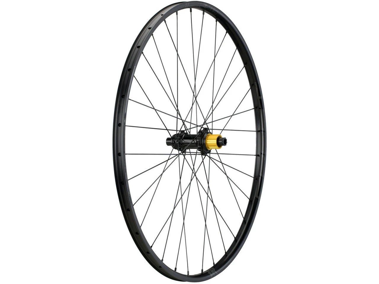 Tune Race 23 Endurance Boost Disc Center Lock 29" Laufradsatz 6 Tune Race 23 Endurance Boost Disc Center Lock 29" Laufradsatz – Bild 4