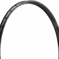 Race Face ARC Offset 30 29" Felge