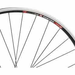 Bc Basic Urban Deore V-Brake DT Swiss 535 28" Laufradsatz 28 Bc Basic Urban Deore V-Brake DT Swiss 535 28" Laufradsatz -Jagdraht Verkaufsladen 396814