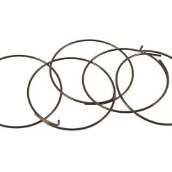 Fulcrum Sperrklinkenfedern 5-R1-015 Für RR Freilaufkörper